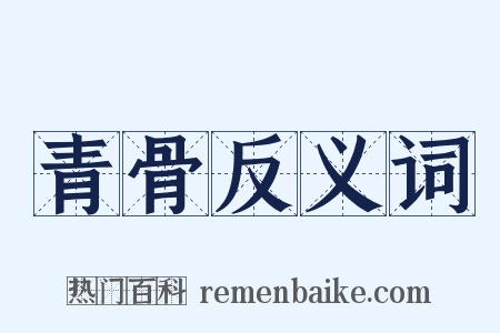 青骨反义词是什么意思的图片
